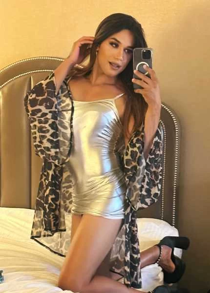 Thumbnail of Ts Brenda Ferraz/ awaiting verification’s photo gallery